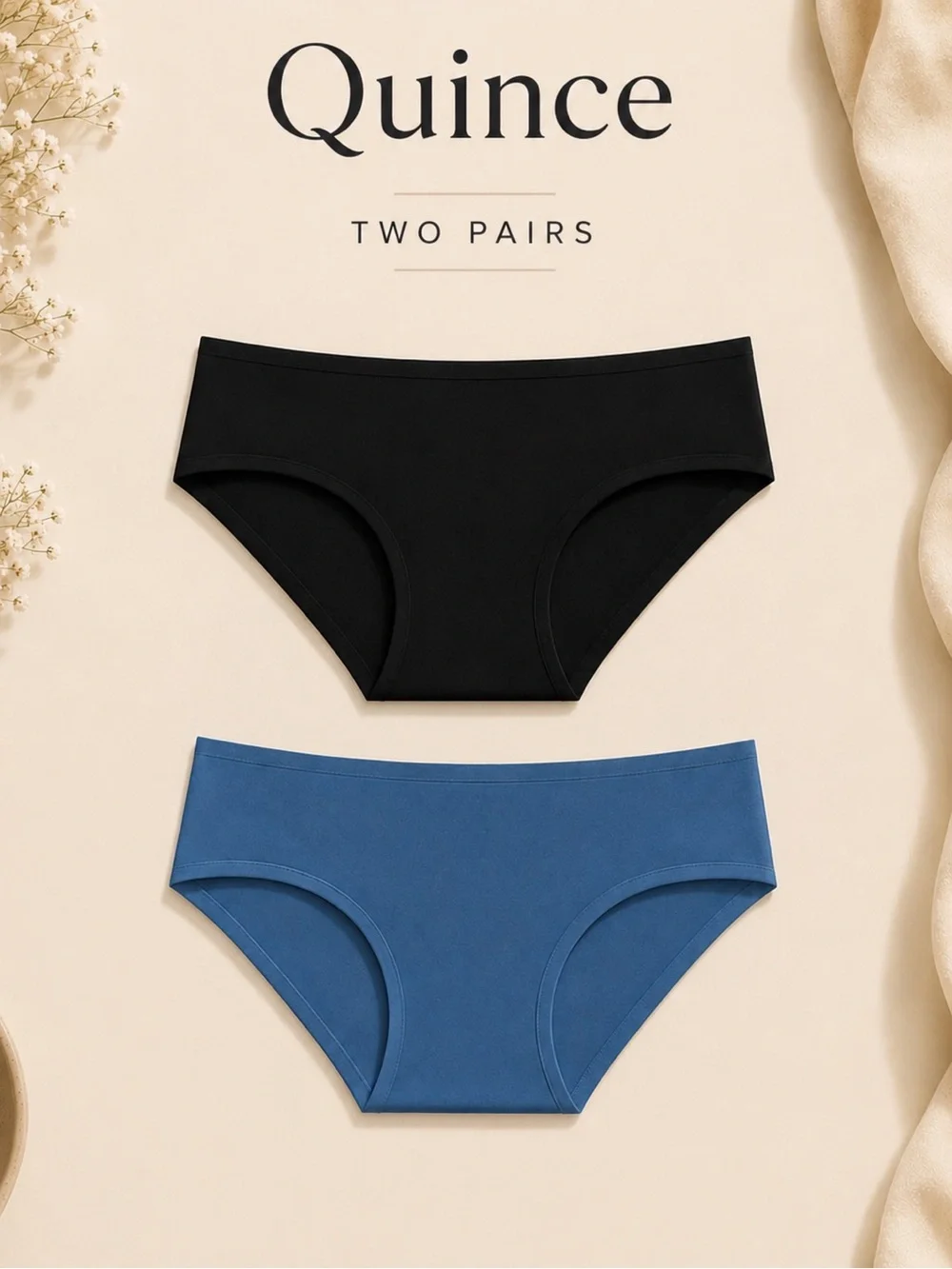 Quince Organic Cotton Hipster Panties- 2 Pairs Black And Blue Size XL NWOT